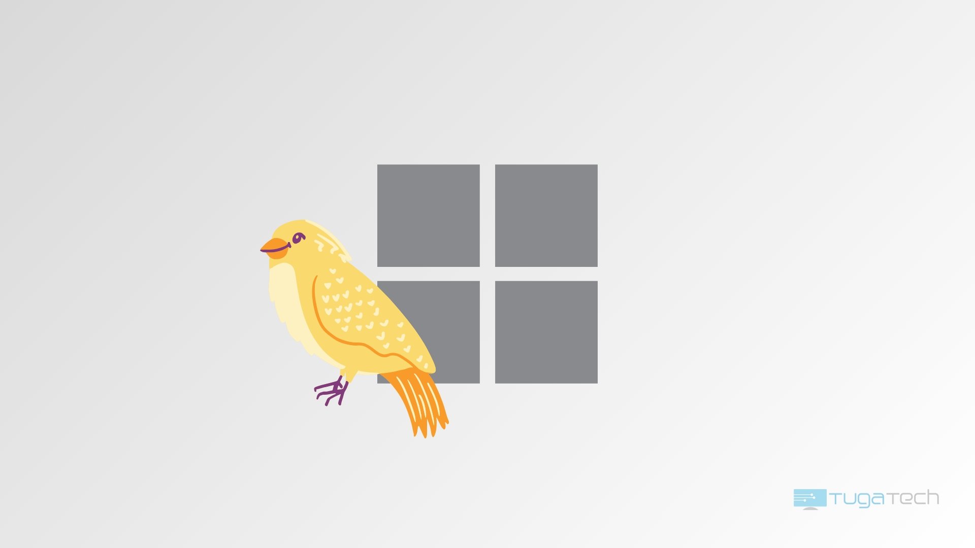 Windows 11 com imagem de canário
