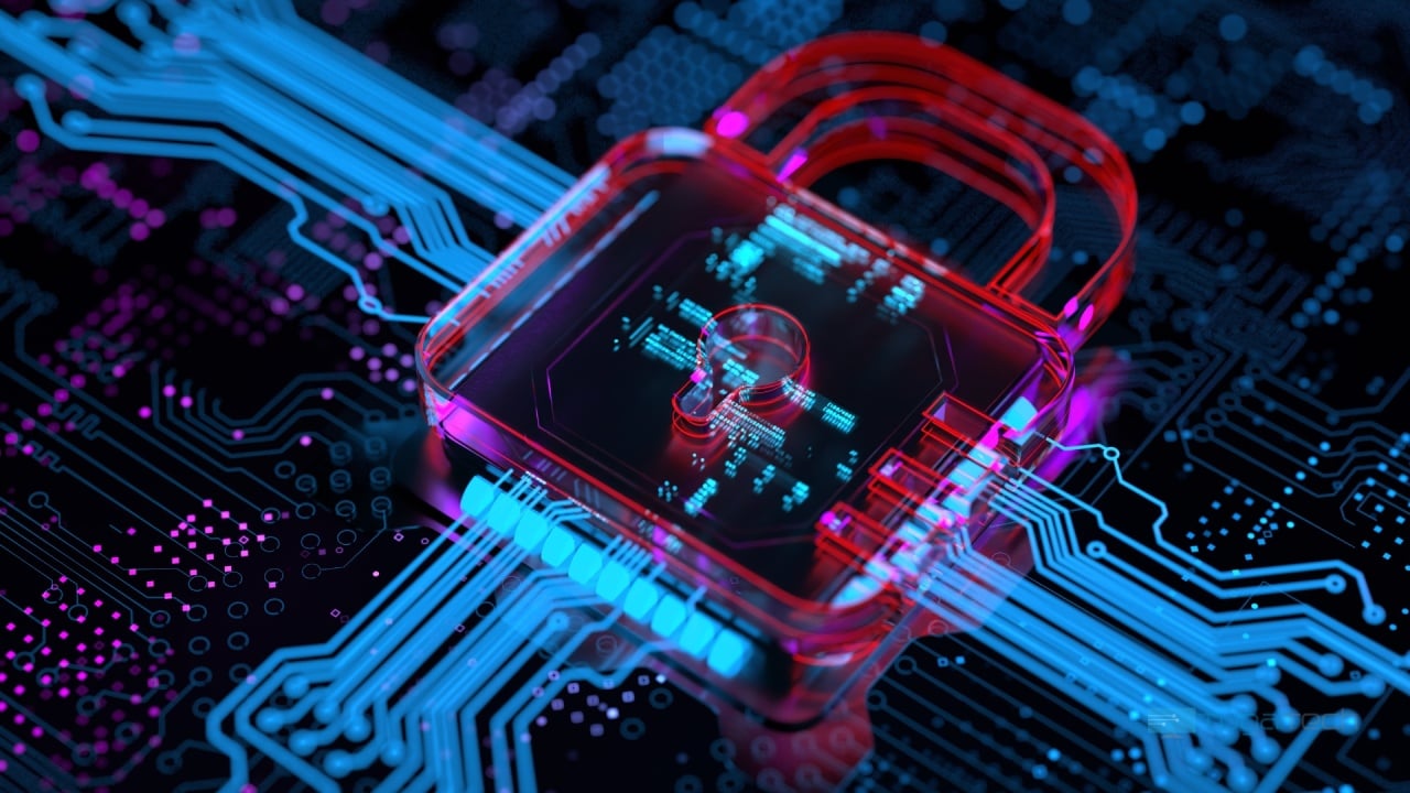 Sistema encriptado por ransomware