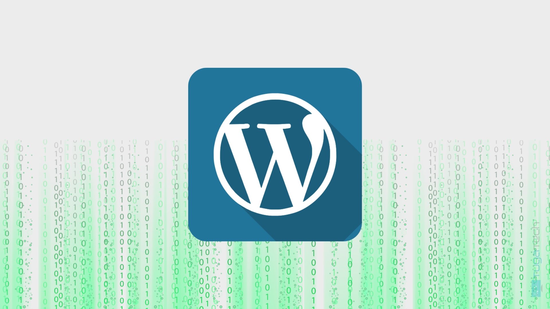 WordPress em risco