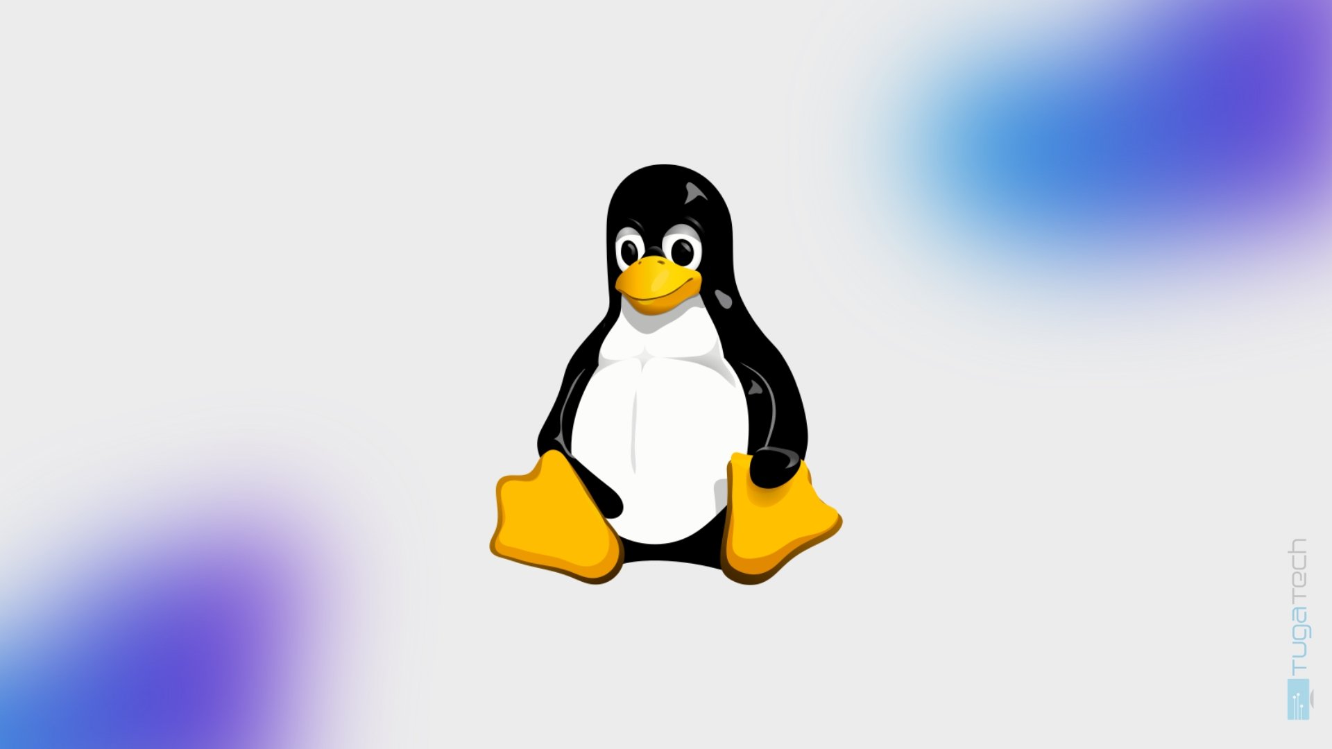 Linux Kernel logo