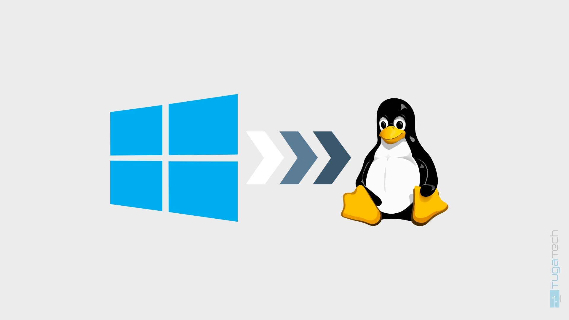 Windows para Linux