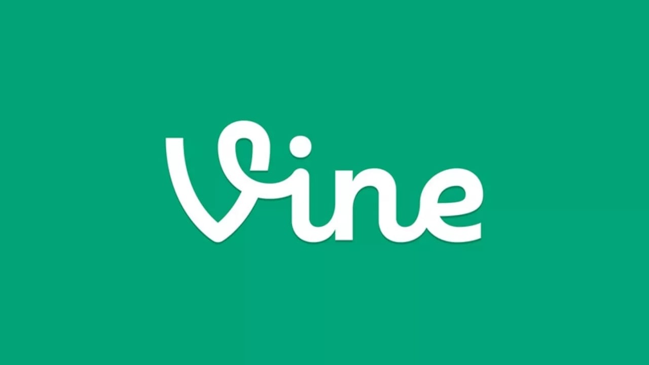 Vine