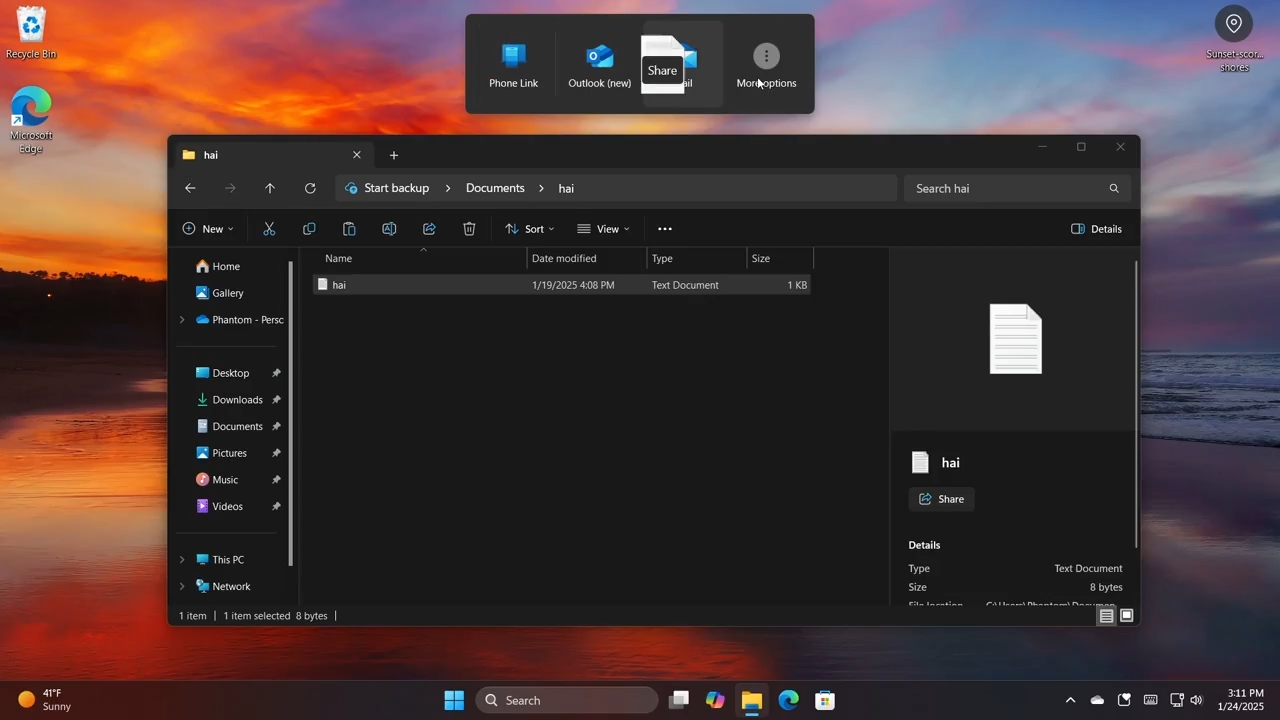 Windows 11 nova partilha