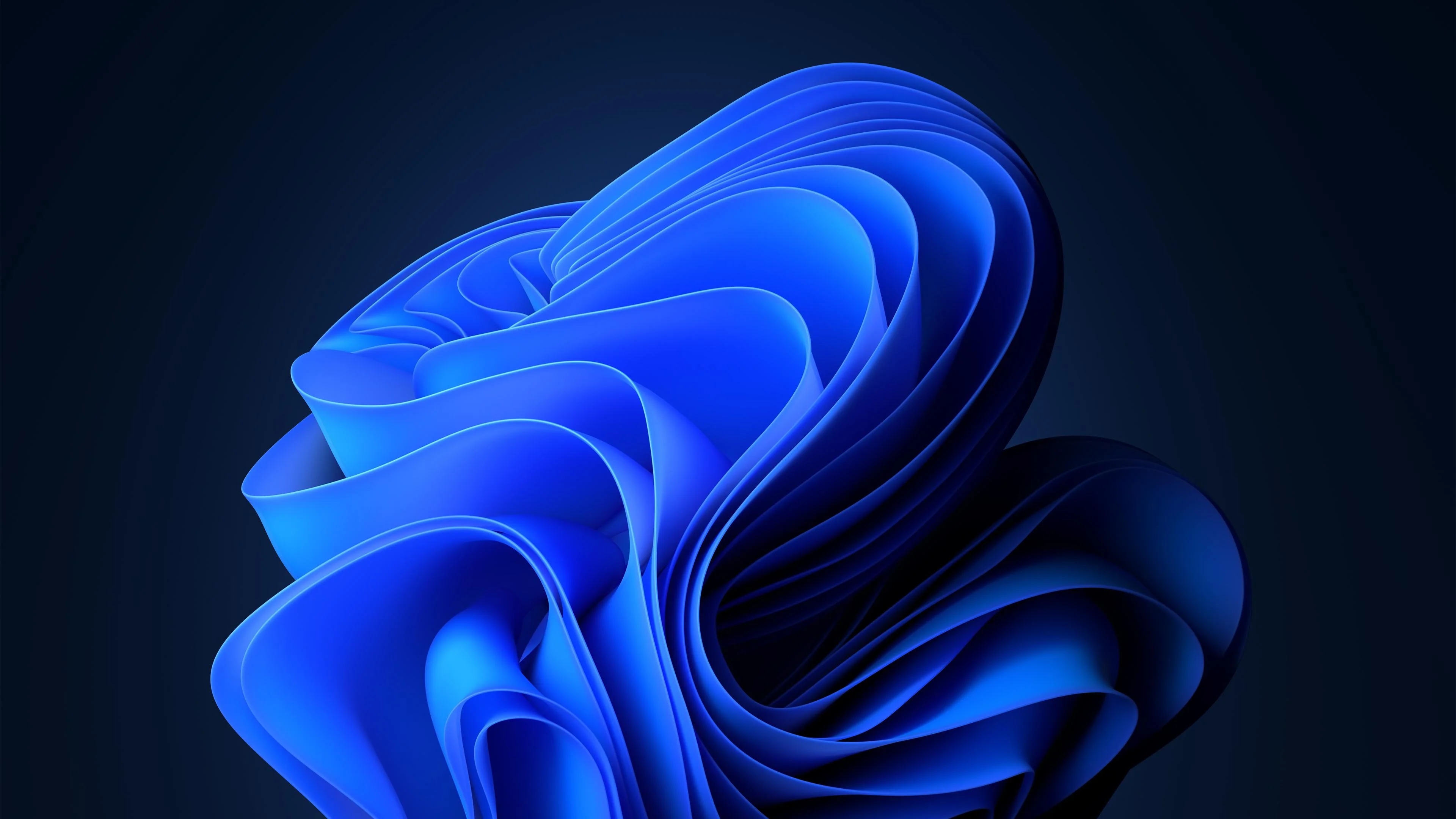 windows 11 wallpaper