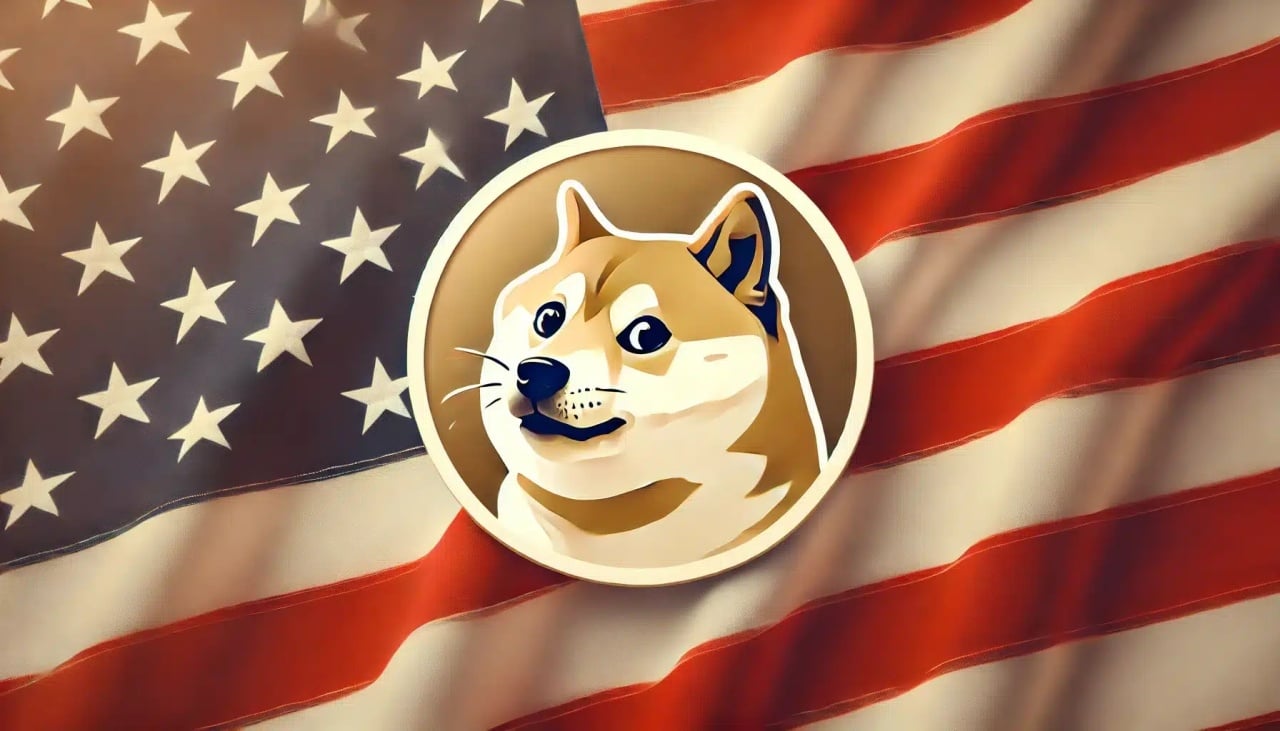 DOGE e bandeira dos EUA