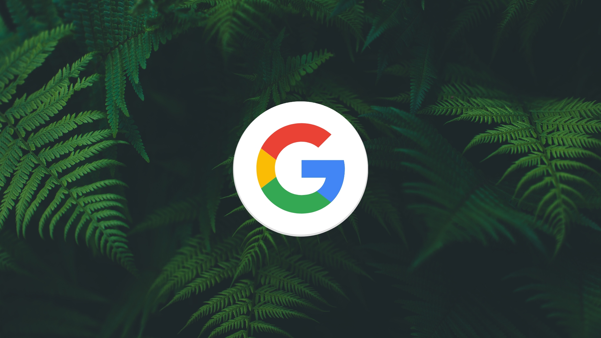 Google em fundo verde de selva