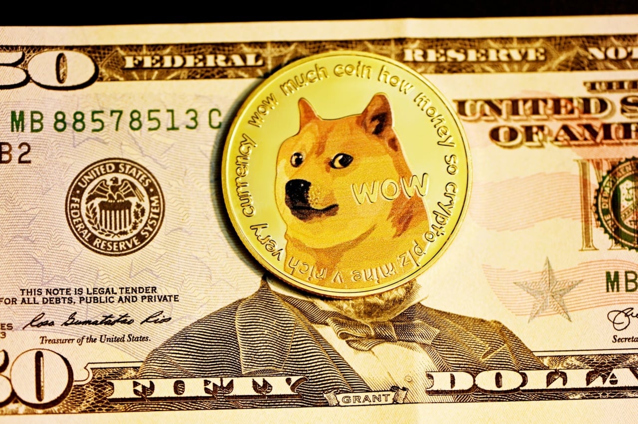DOGE moeda e dólar