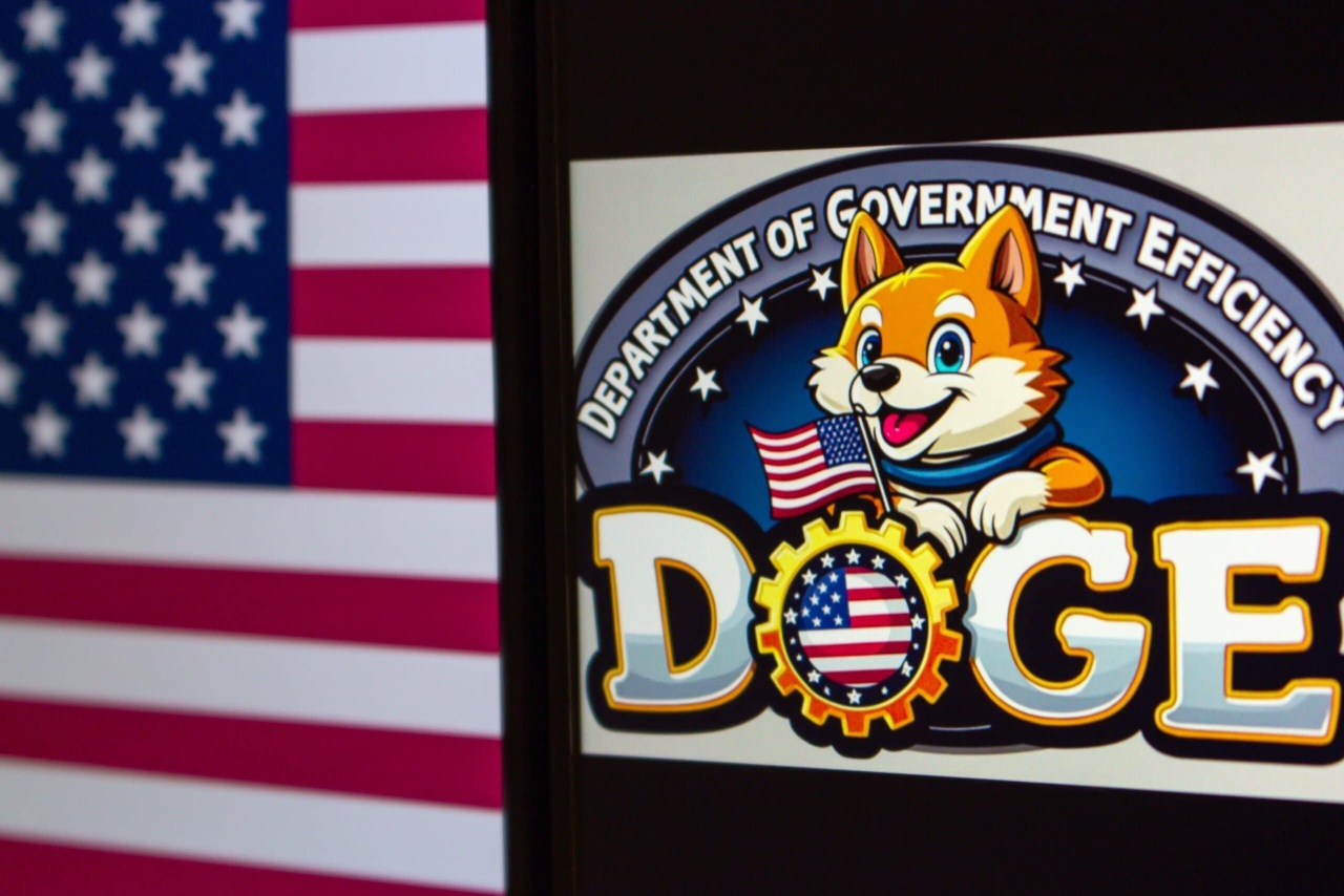 DOGE USA