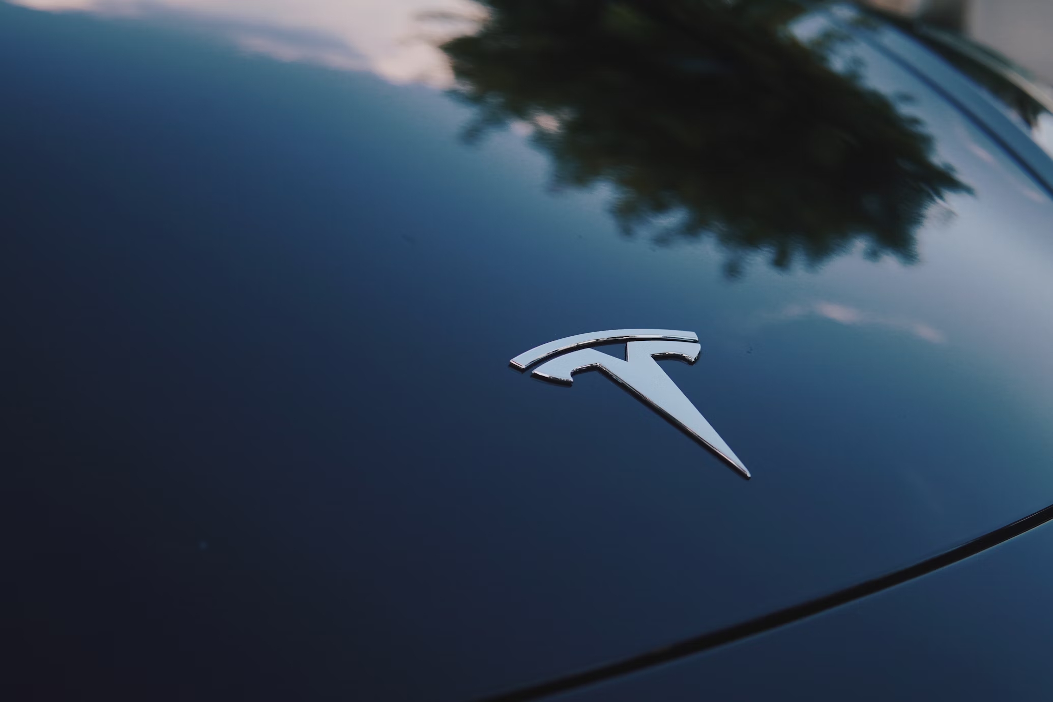 Logo da Tesla