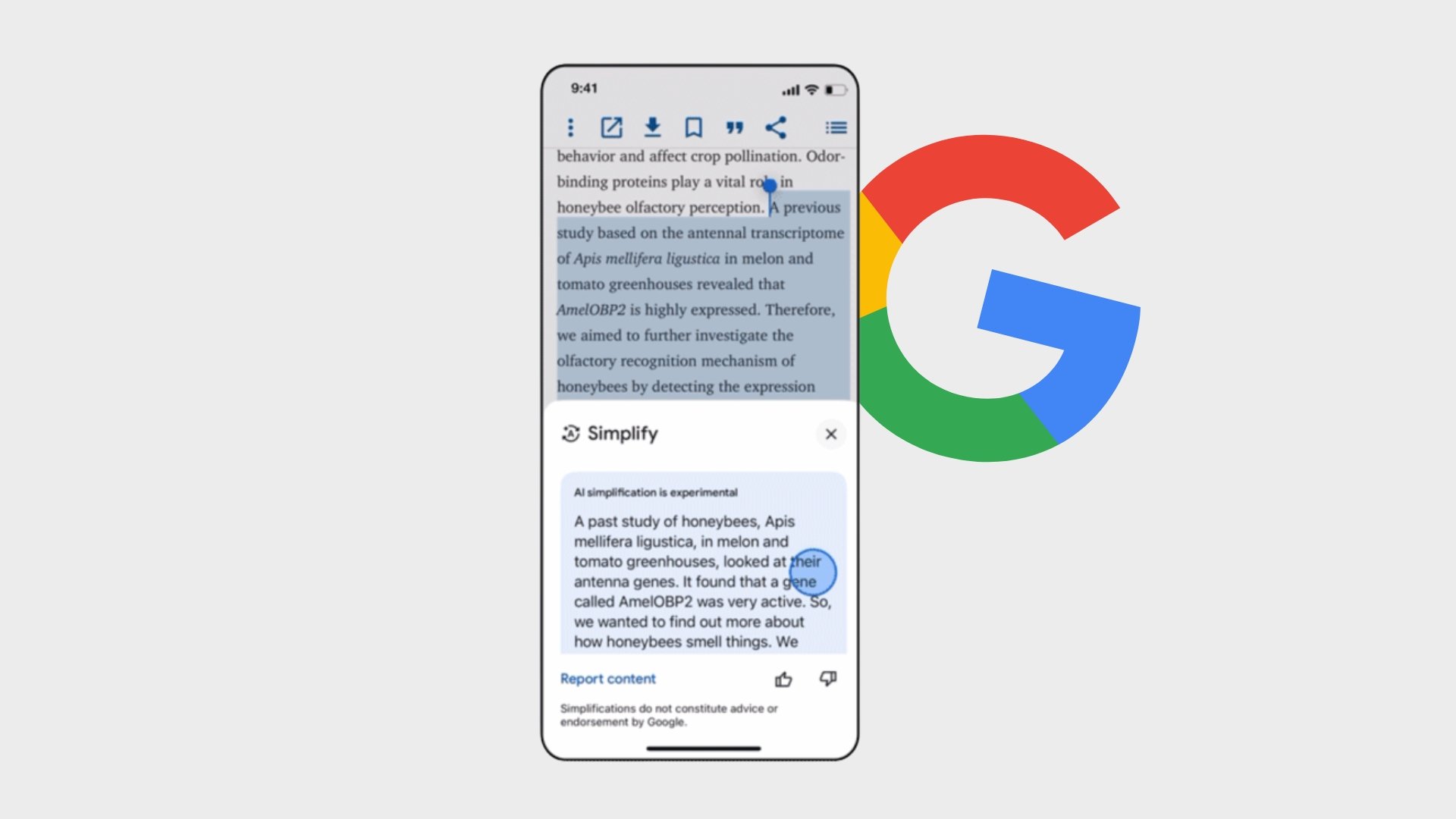 Aplicação da Google com opção de simplificar