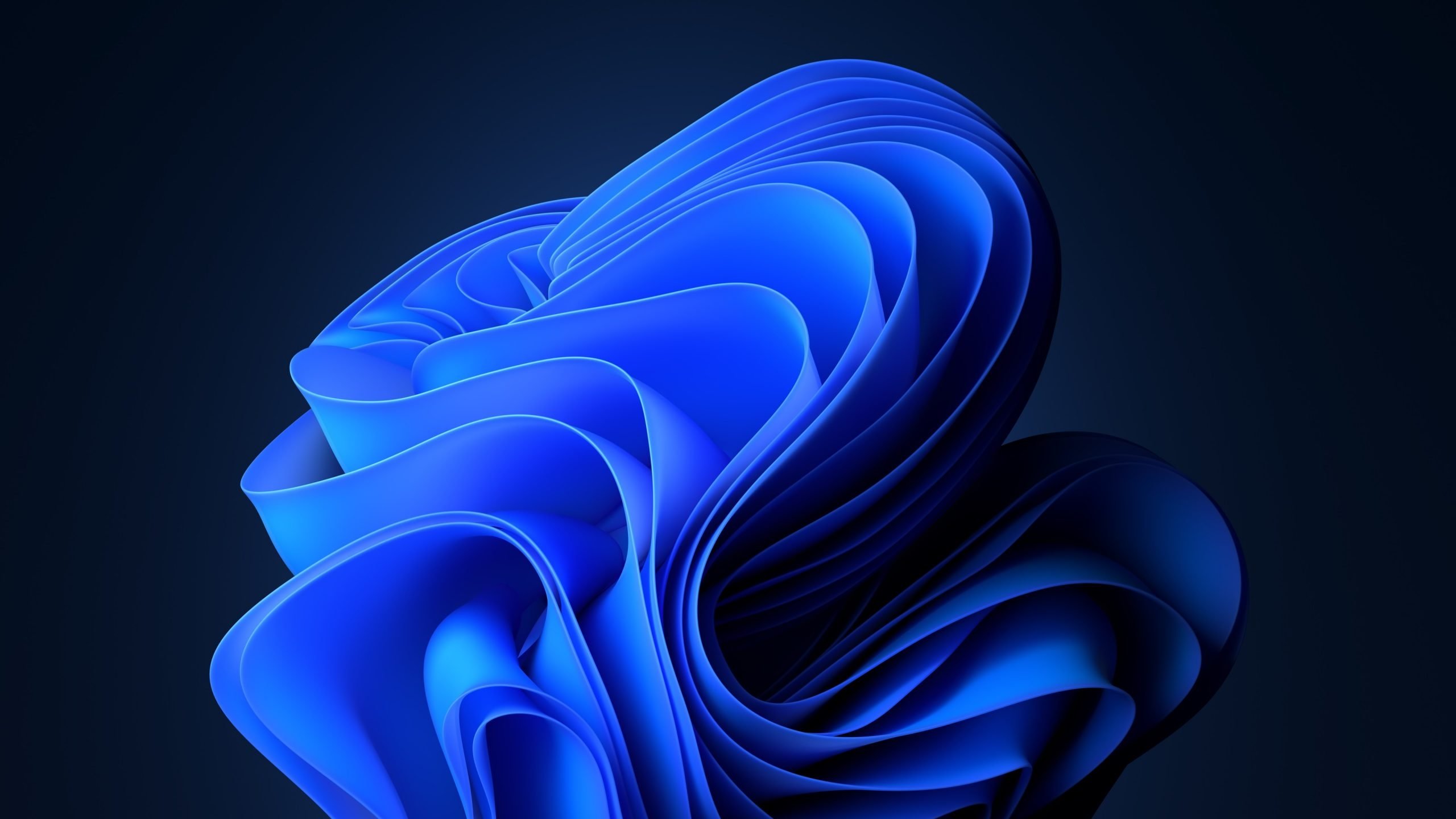 wallpaper do windows 11