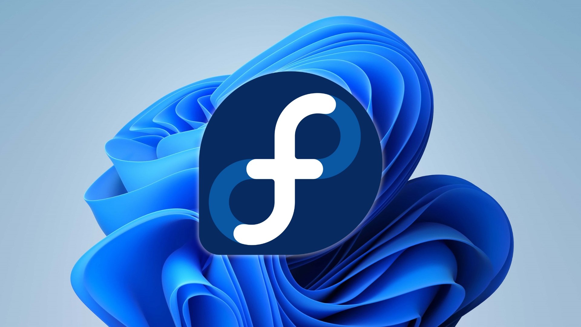 Fedora logo no fundo do windows 11