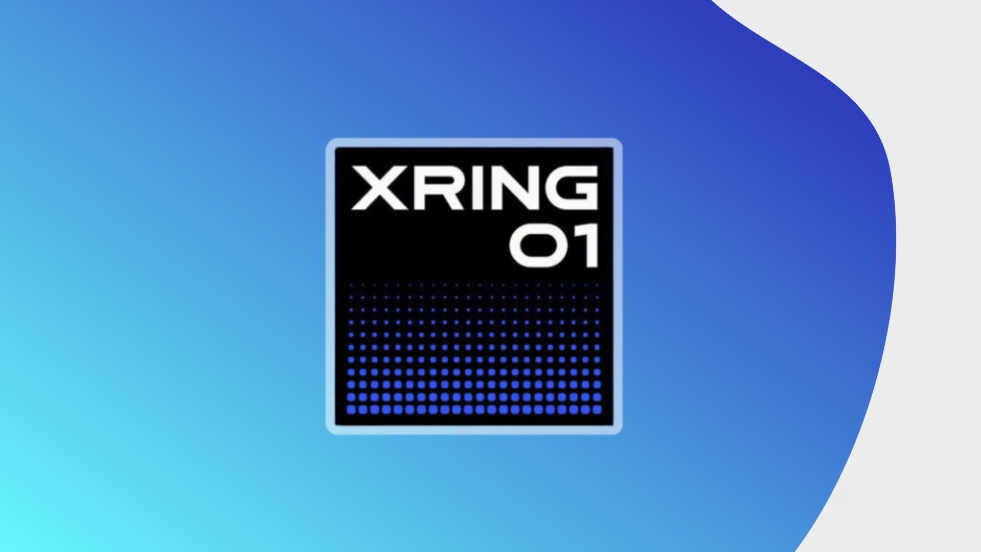Xiaomi XRing 01