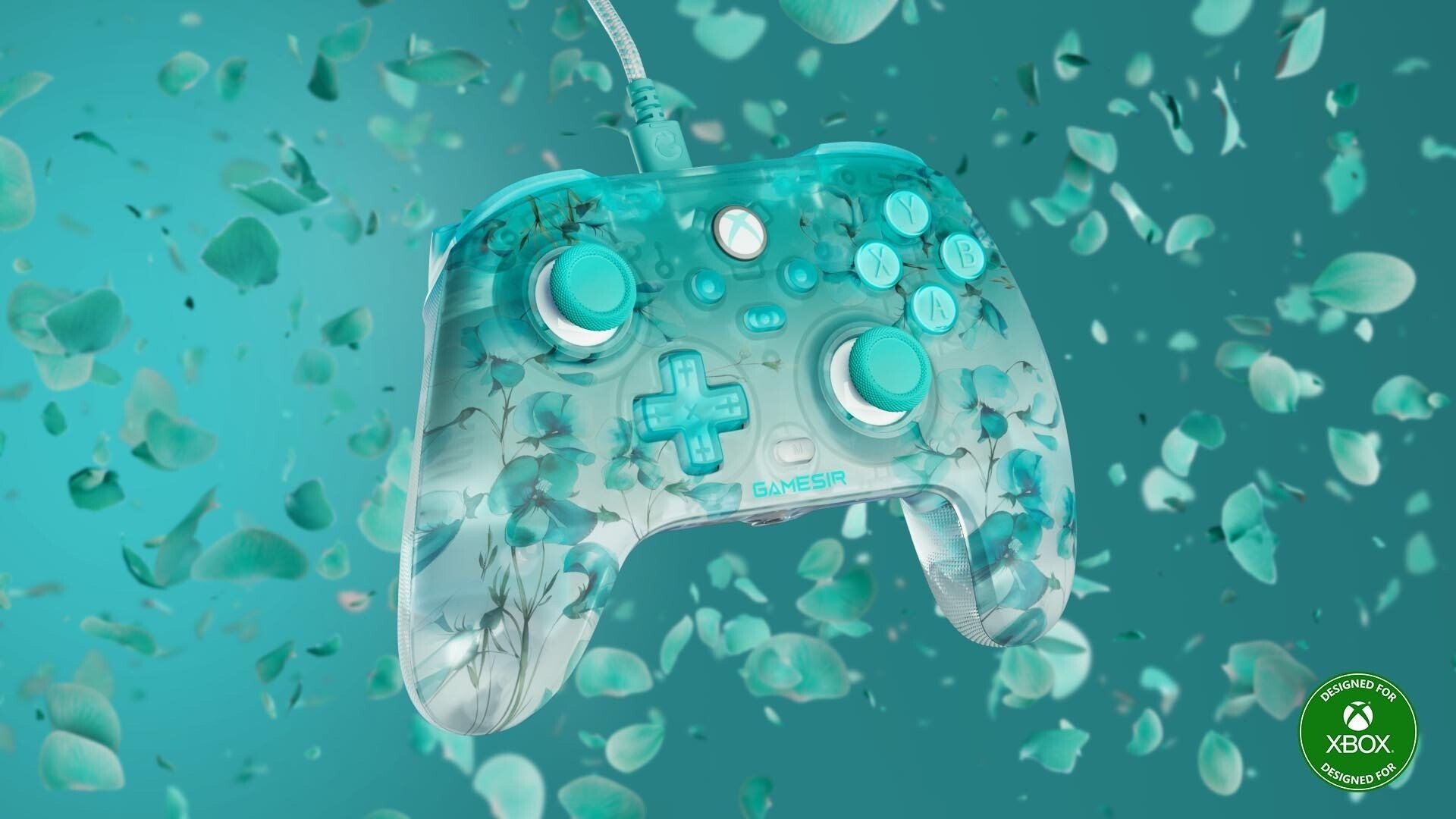 Comando da xbox Spring Breeze