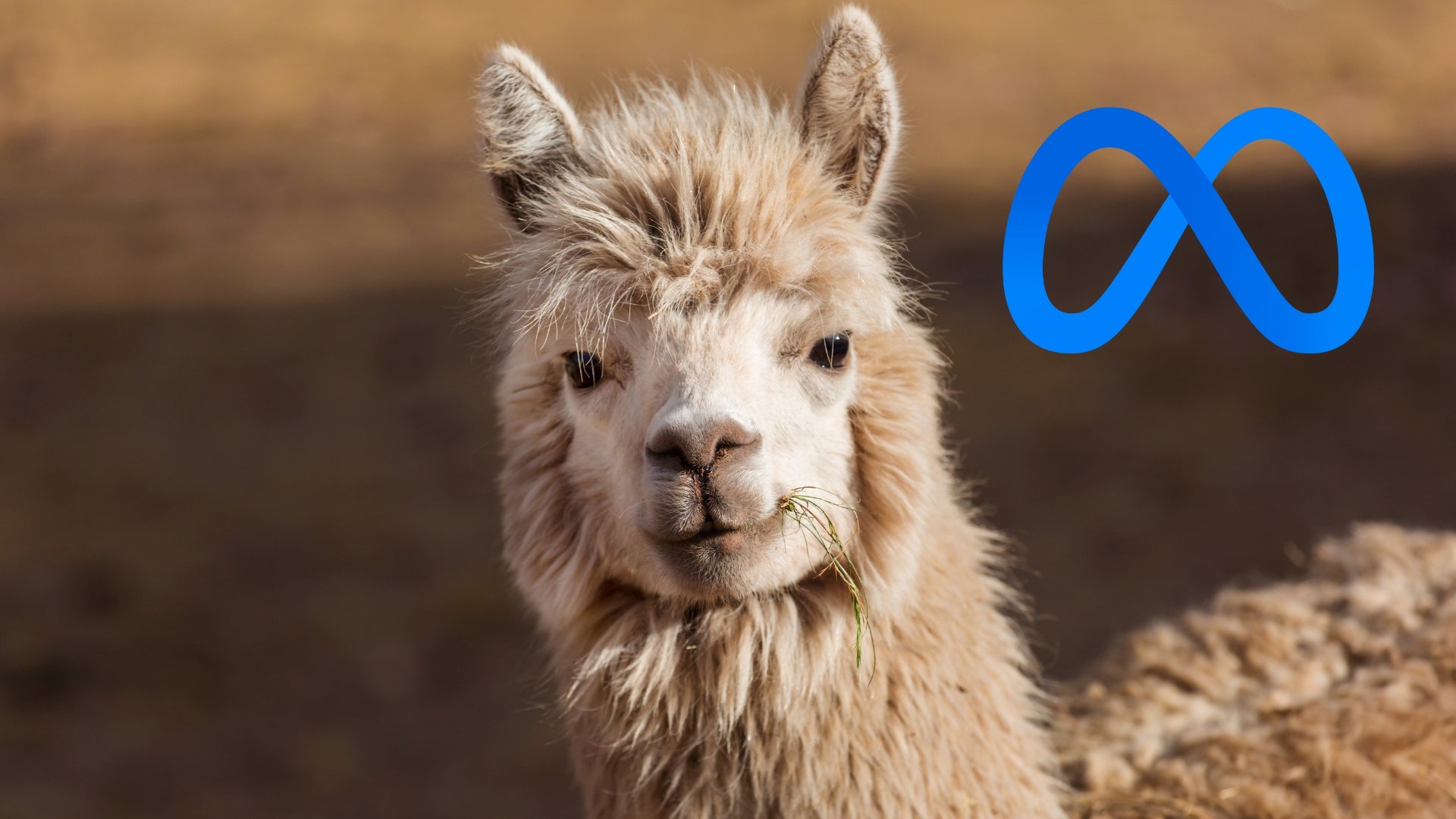 Meta Dangles Cash and Code to Lure Startups Into Llama’s Orbit