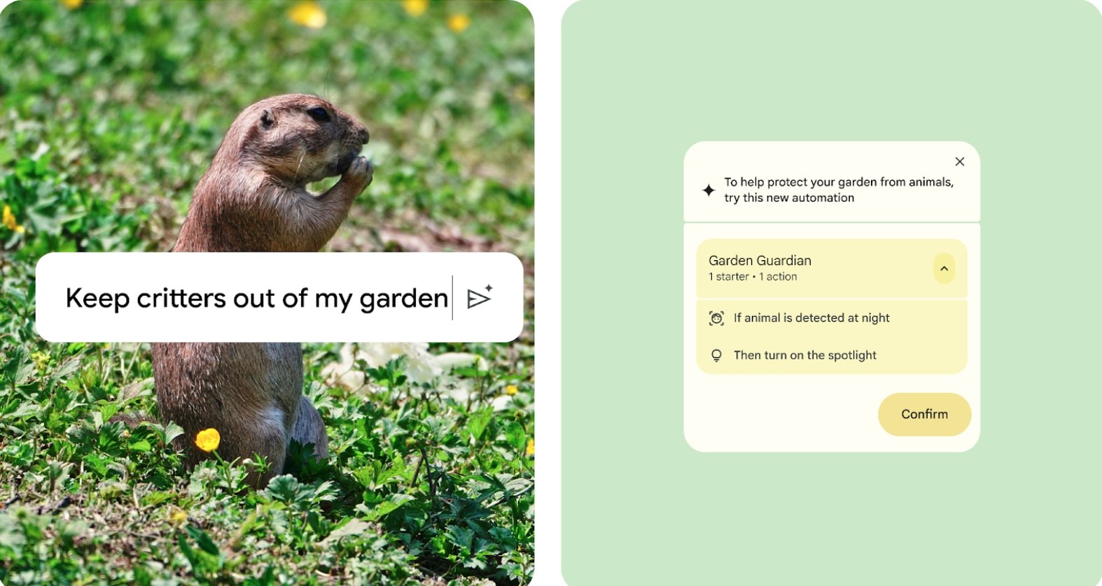 exemplo de rotinas para afastar bichos do jardim com o google home