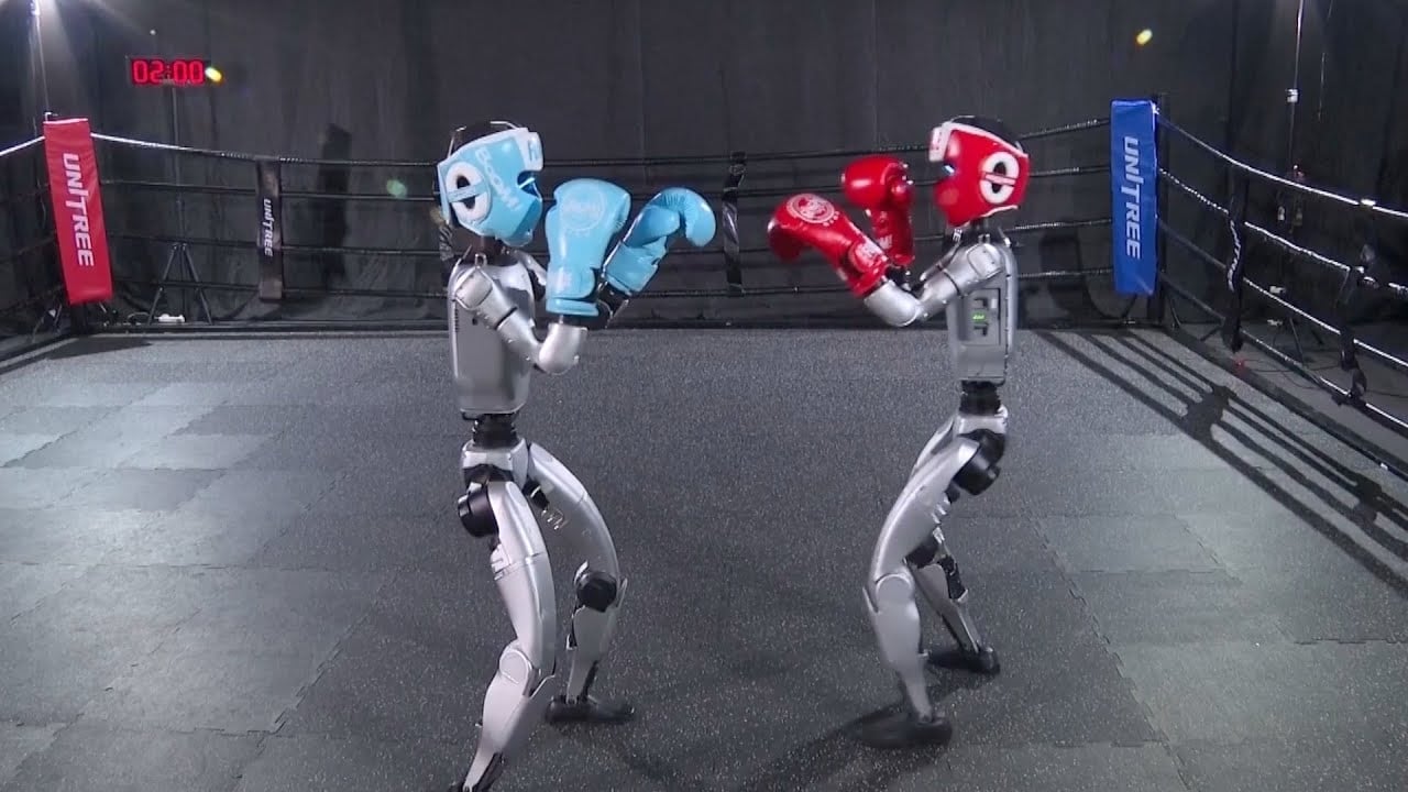 Robots a lutarem dentro de um ringue em campeonato especial