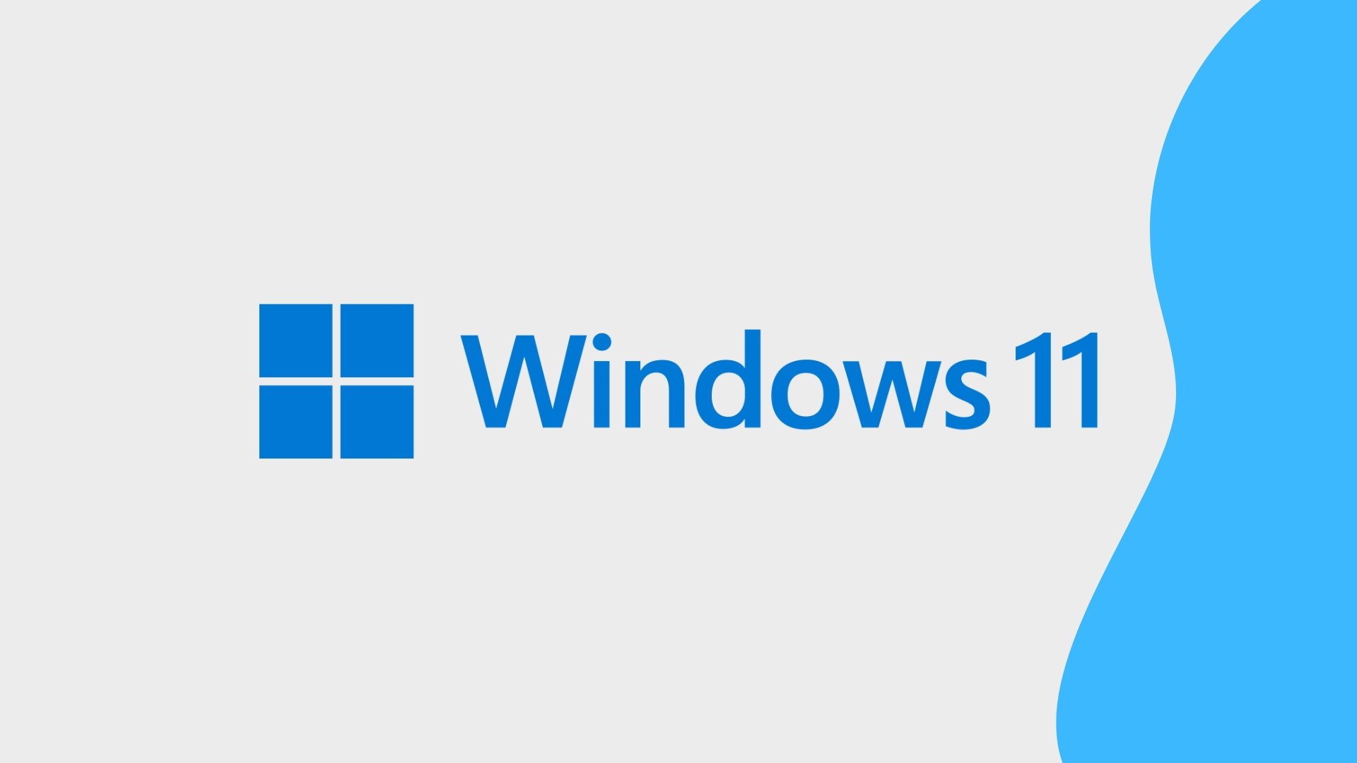 Windows 11 logo do sistema da Microsoft