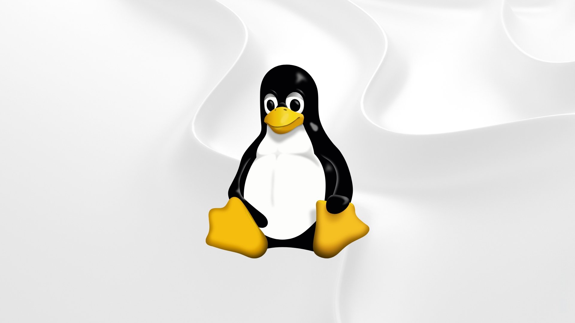 Linux logo mascote