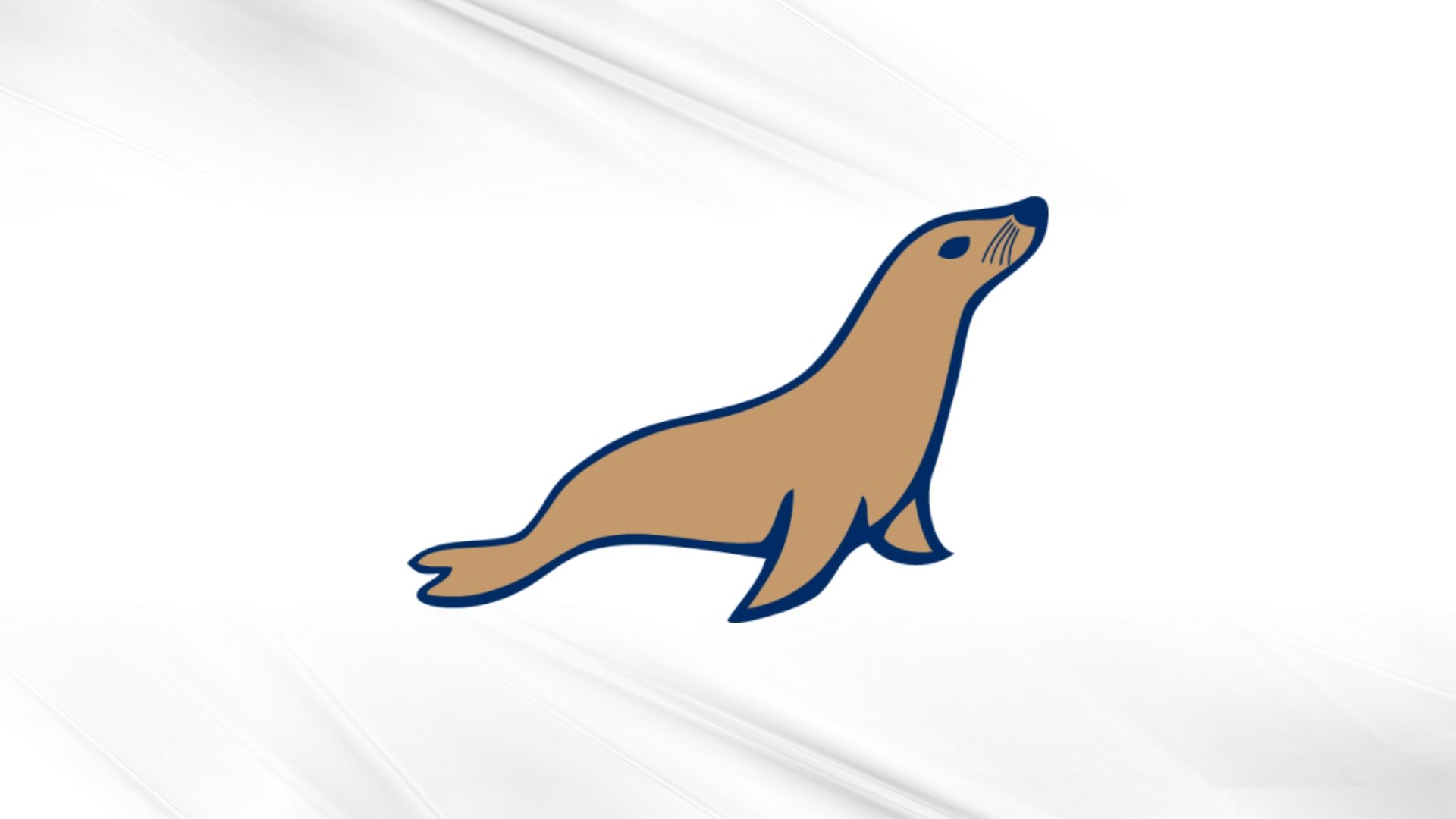 mariaDB logo da aplicação de base de dados