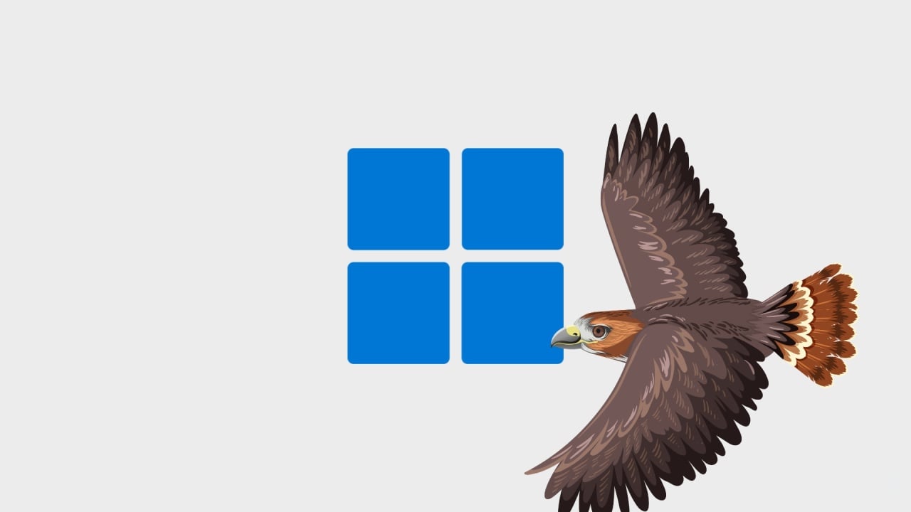 Falcão com o Windows 11
