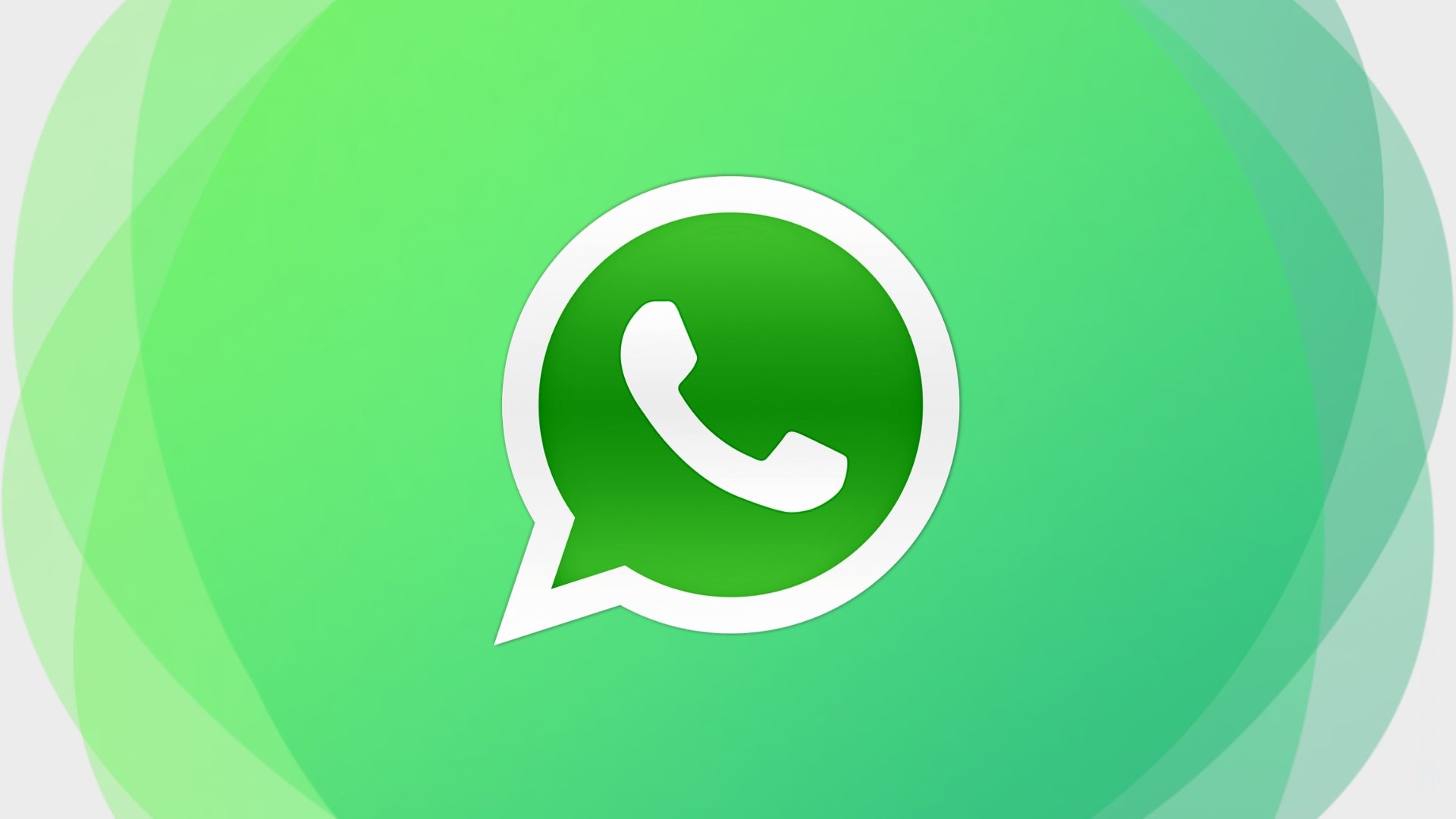 WhatsApp logo