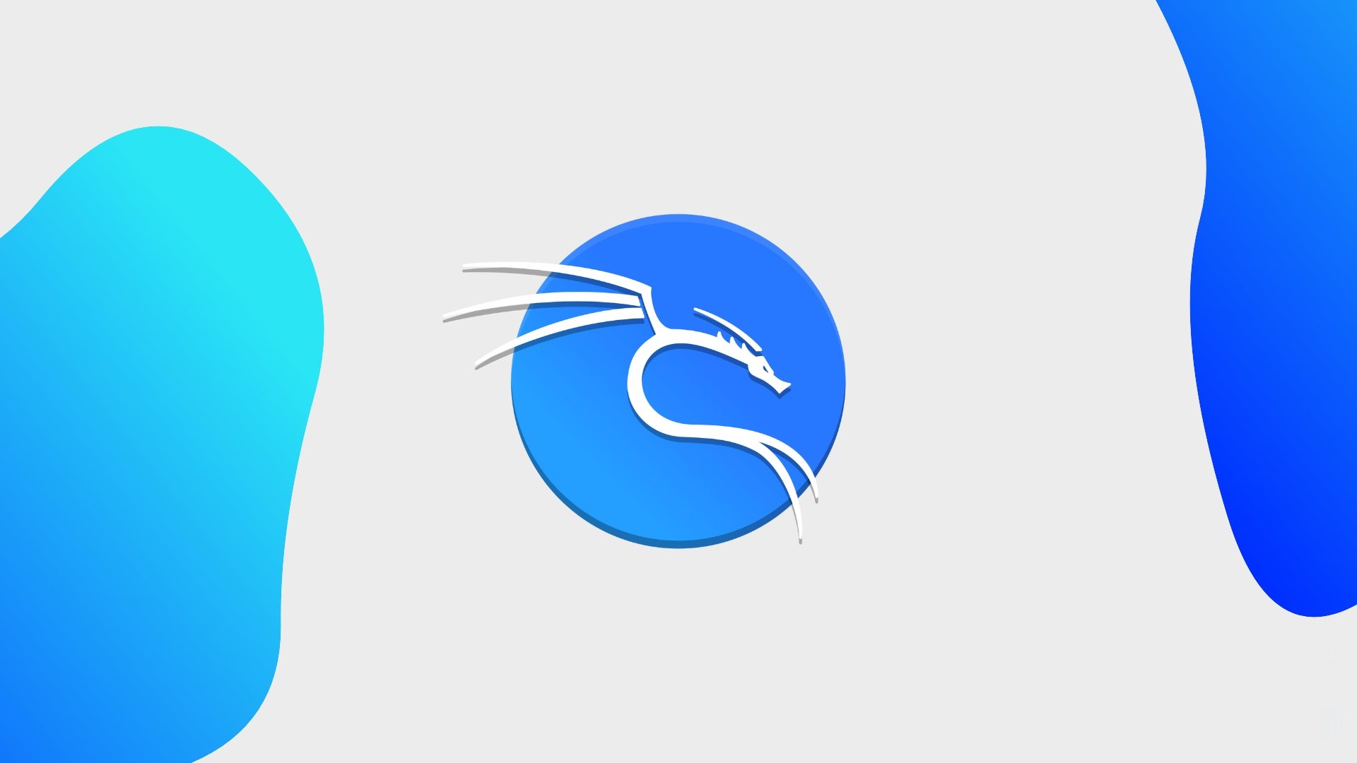 Kali Linux