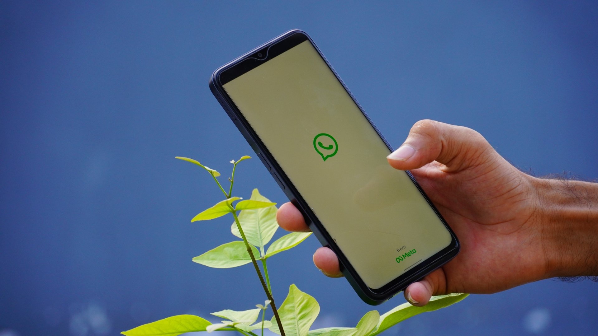 WhatsApp em smartphone