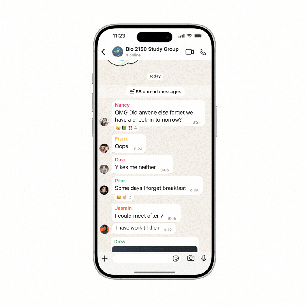 imagem dos sumários do WhatsApp