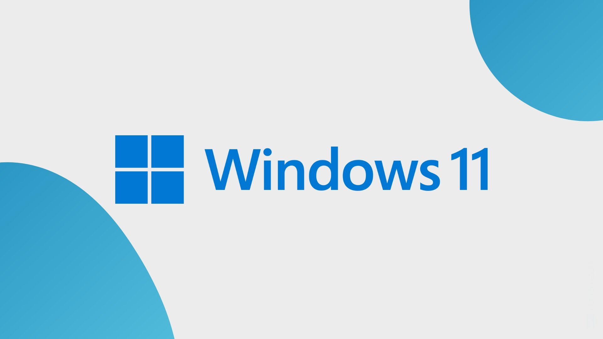 Windows 11 terminal