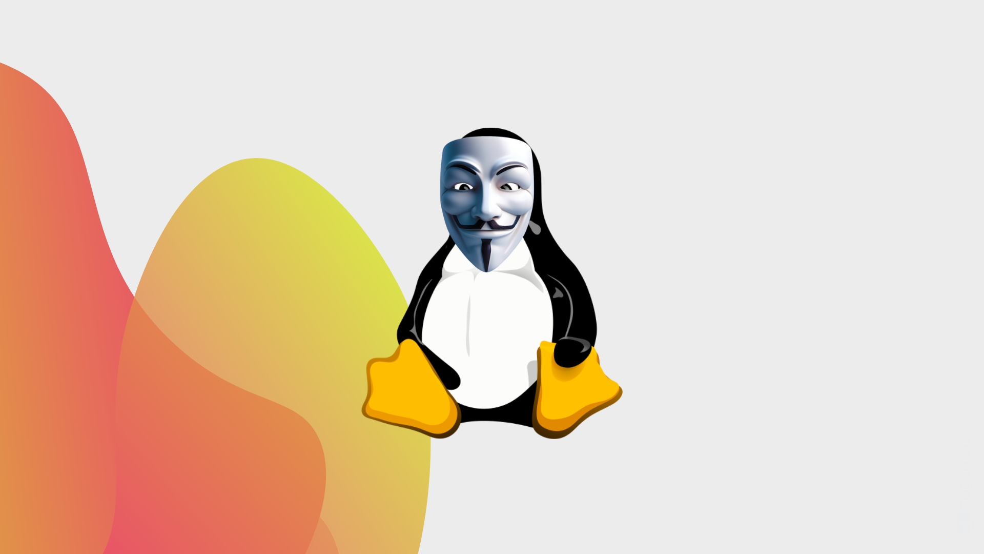 Linux hacker