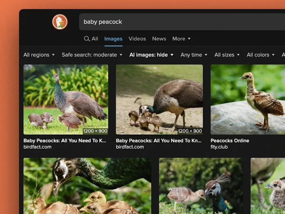 filtro de imagens criadas por IA no DuckDuckGo