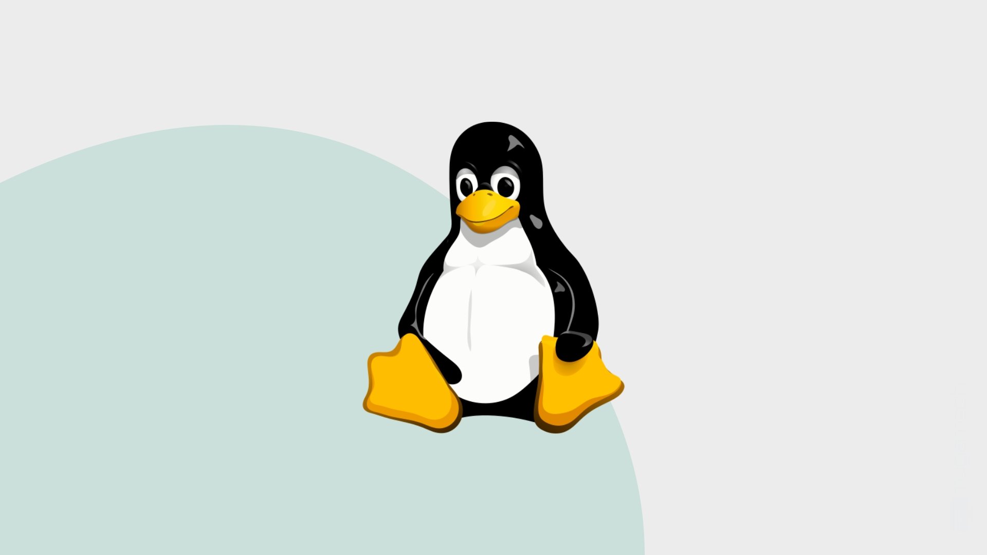 Linux logo do sistema