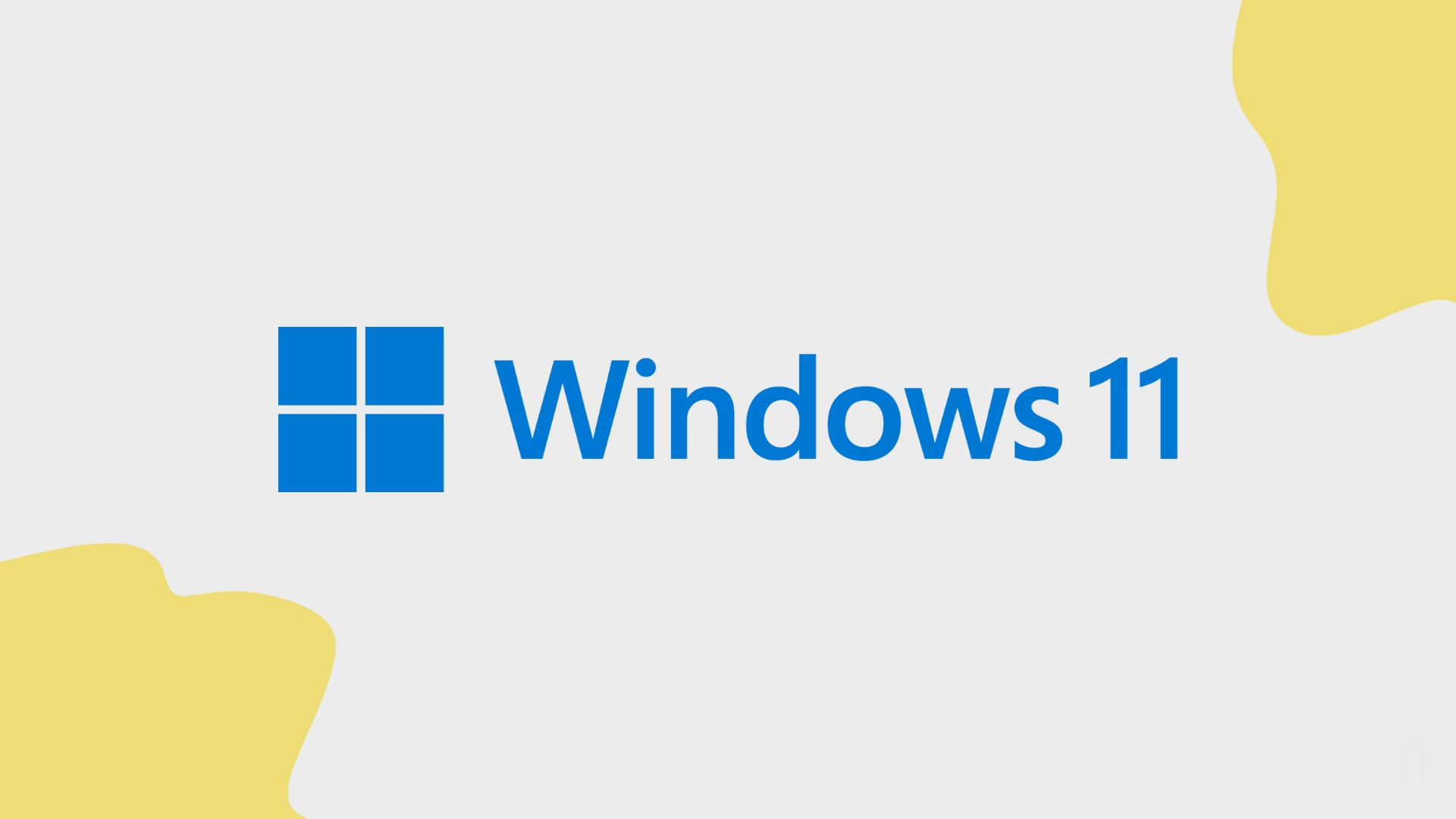 Windows 11 logo