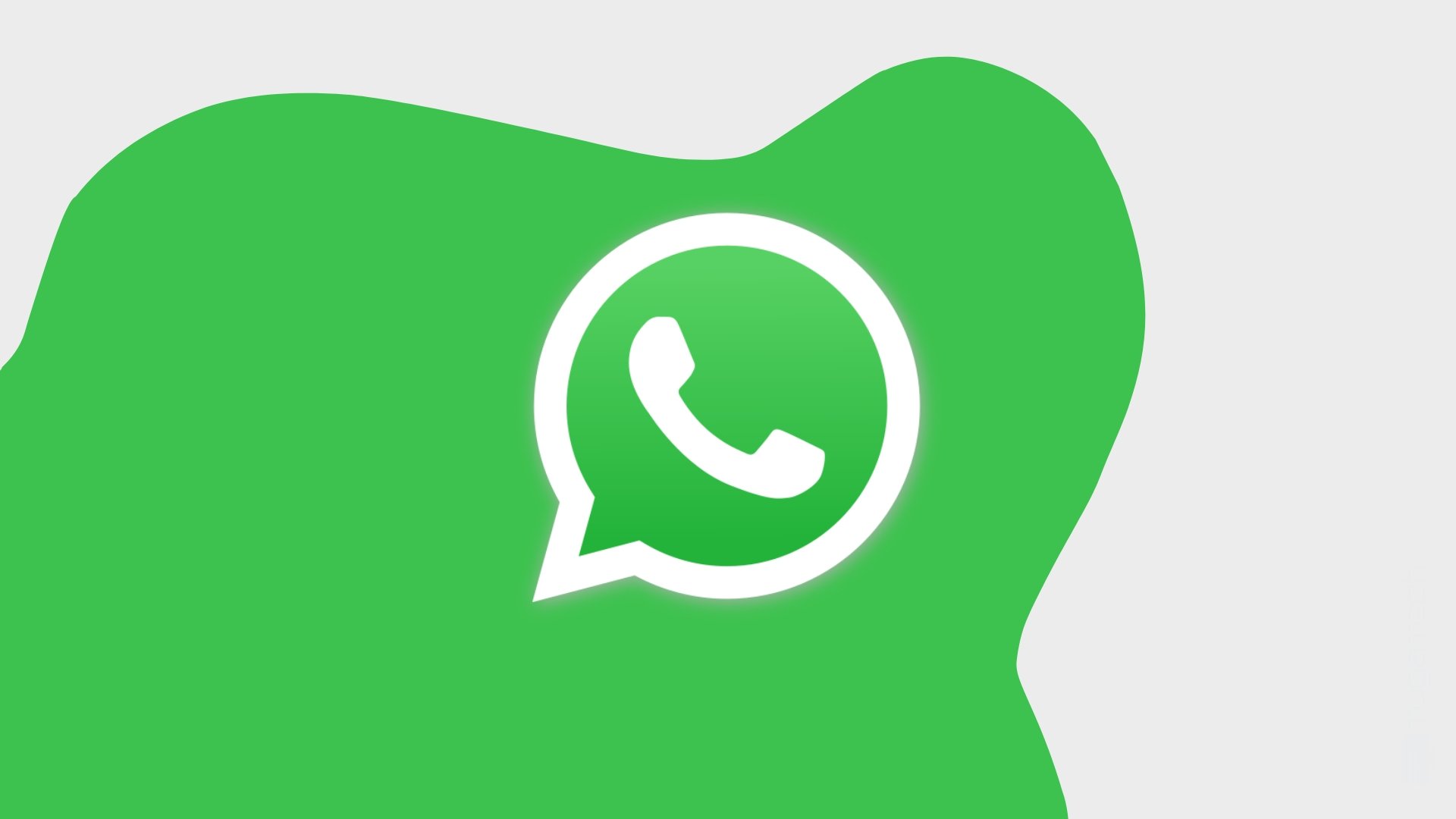 WhatsApp logo em fundo verde