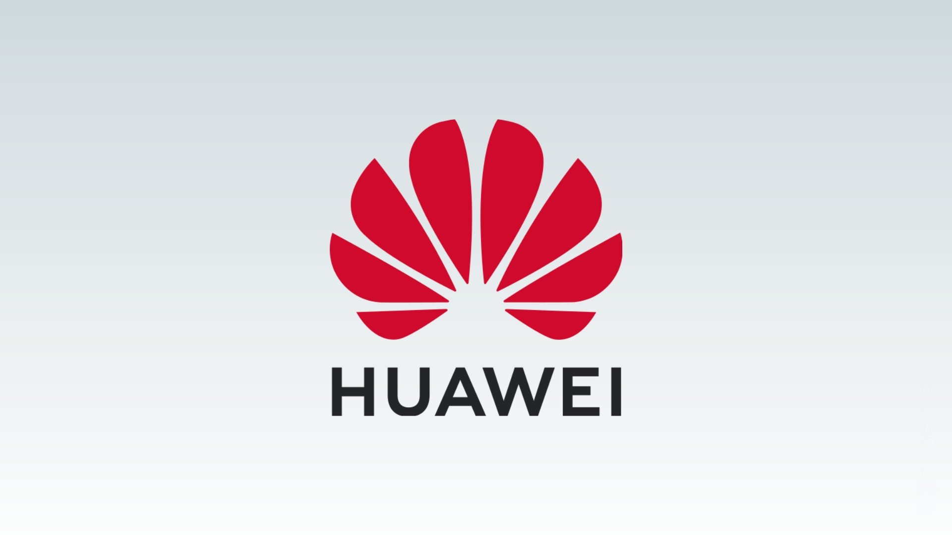 Huawei logo da empresa