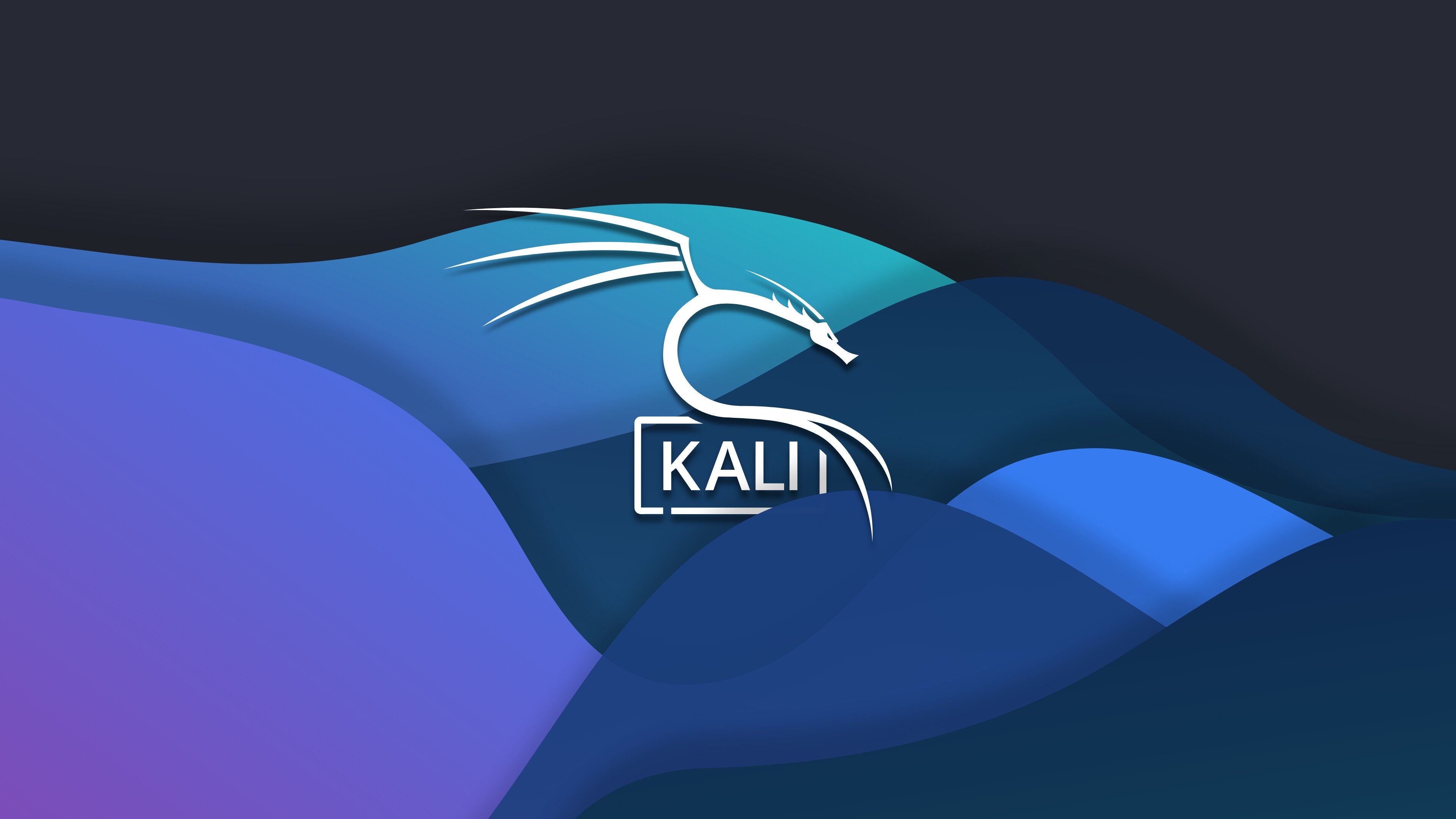 Kali Linux