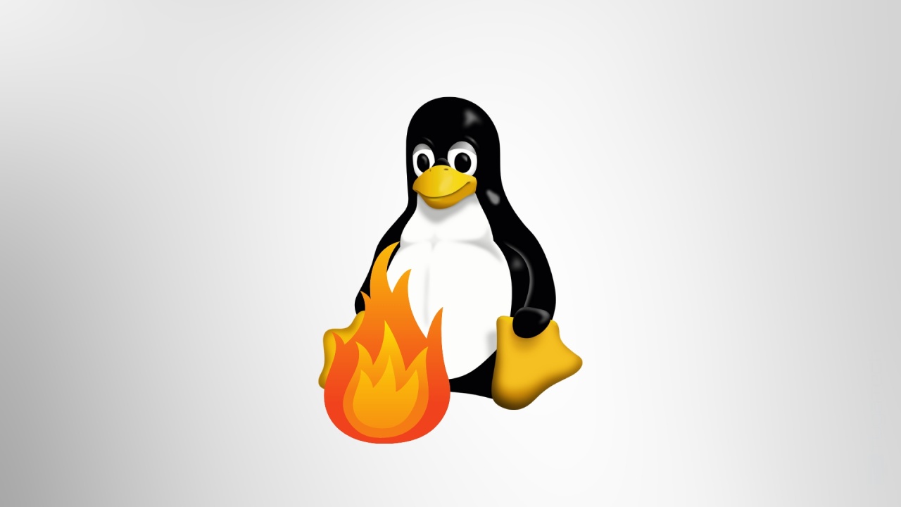 Linux em fogo