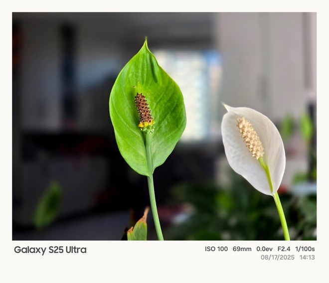 detalhes do novo modo de captura de fotos