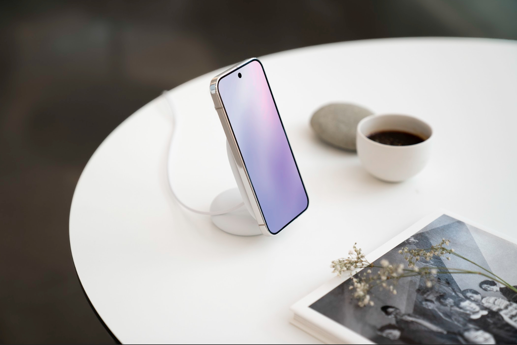 Pixelsnap Google Pixel 10 Pro XL