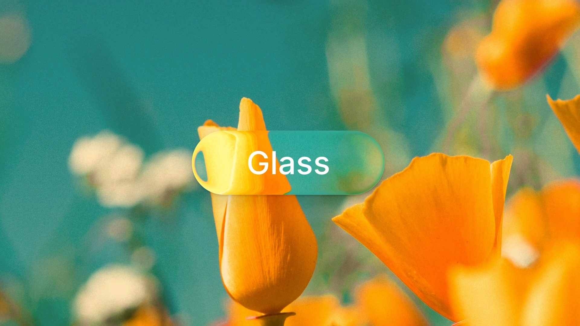 Sketch barcelona glass