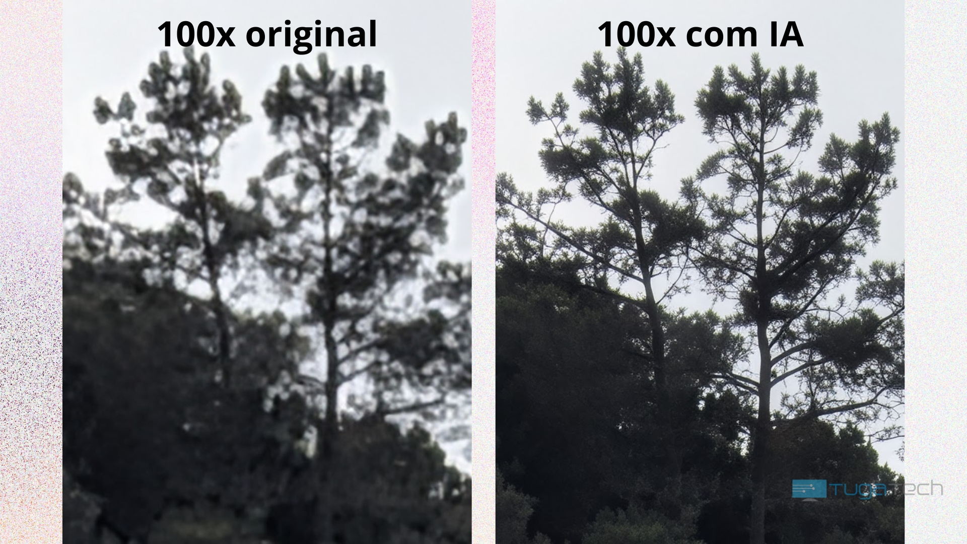 zoom teste pixel 10 pro xl