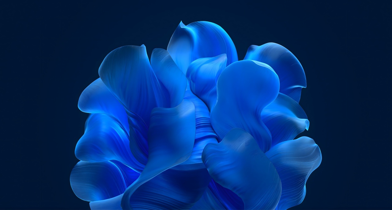 Windows 11 wallpaper