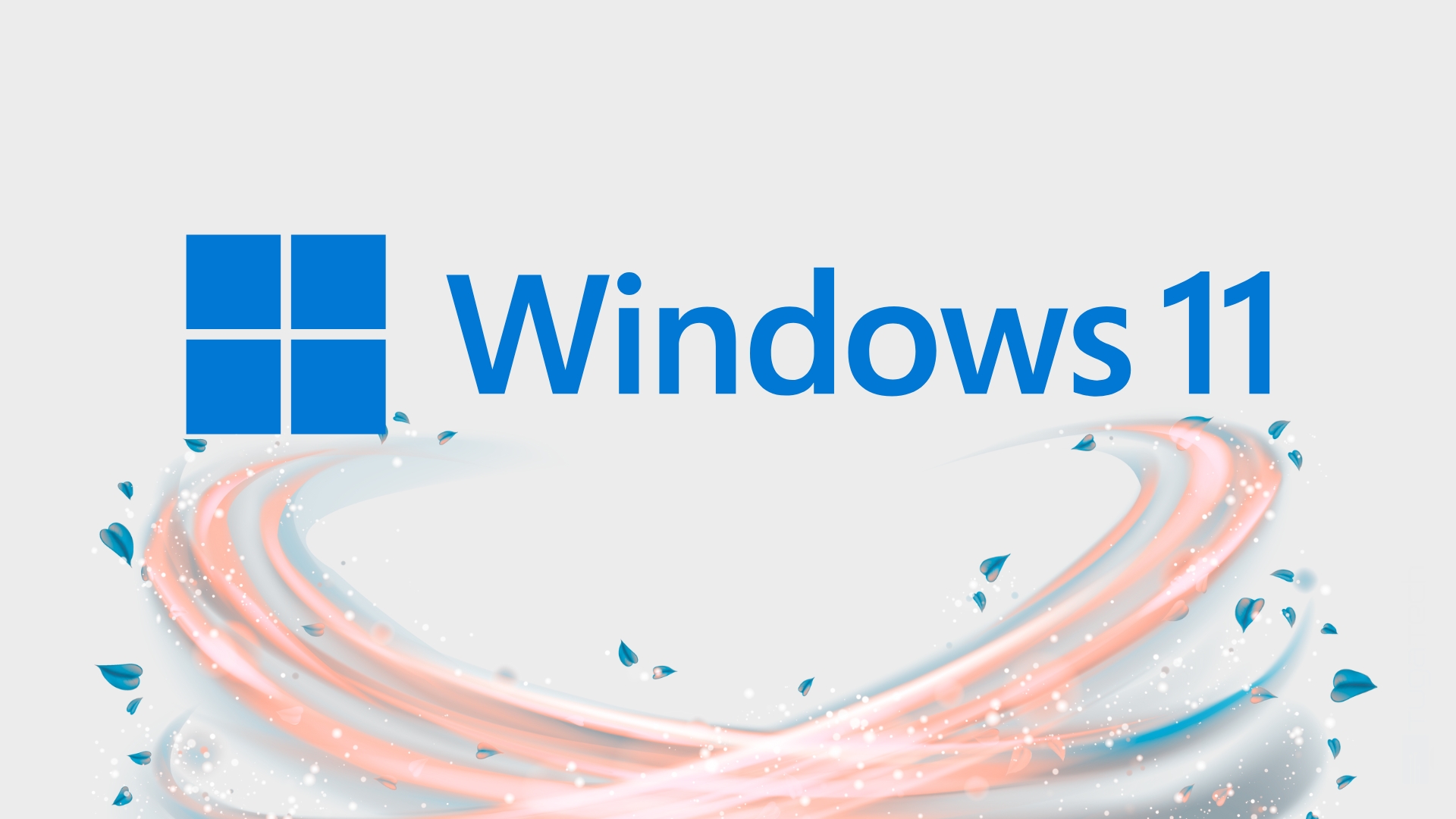 Windows 11 logo