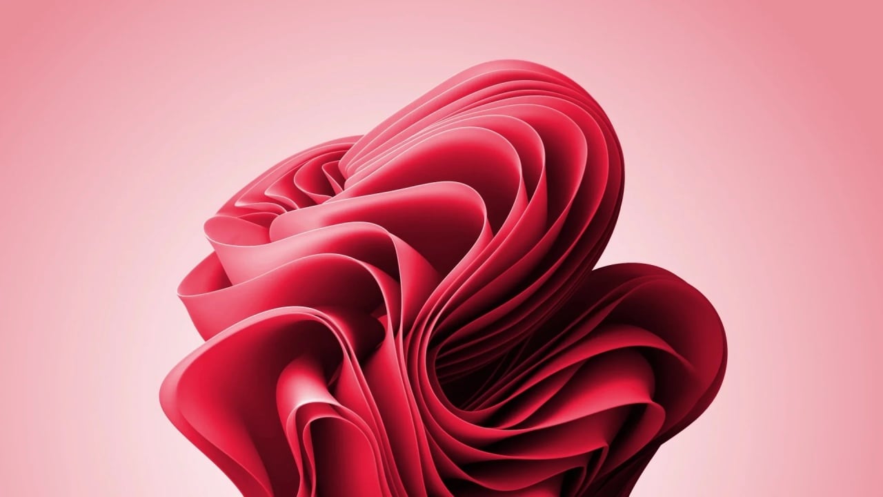 Windows 11 rosa wallpaper