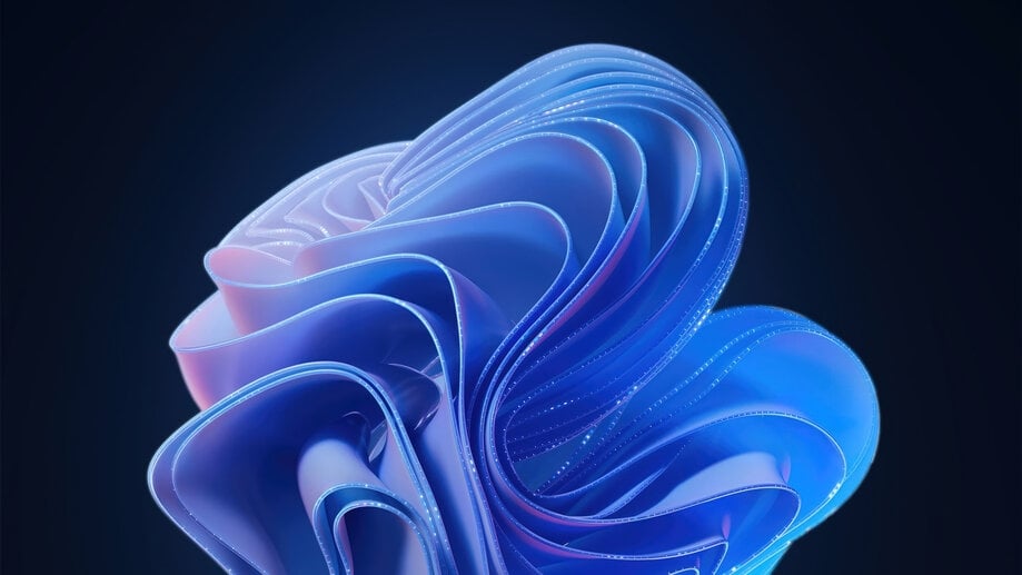 Windows 11 wallpaper