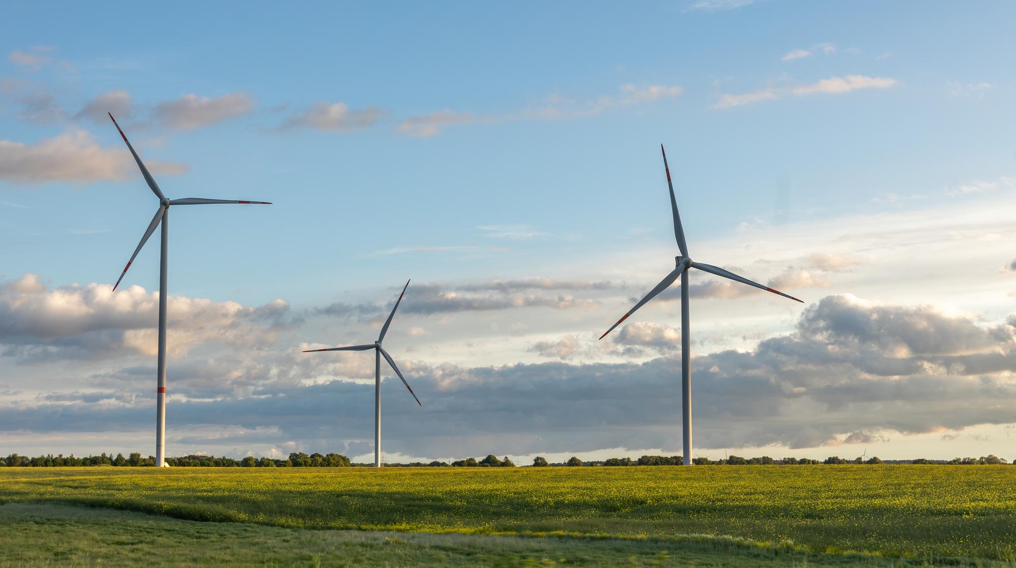 ventoinhas de eletricidade