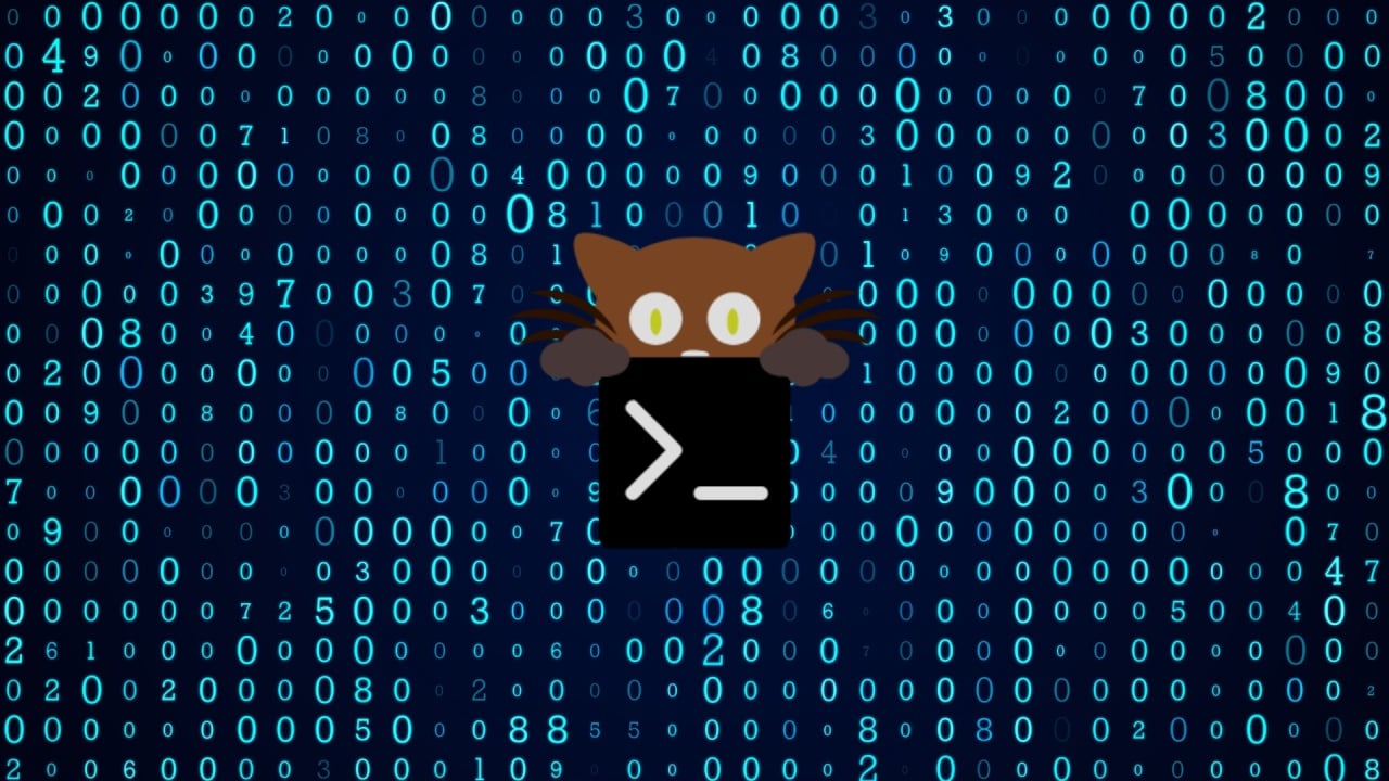 Terminal Kitty
