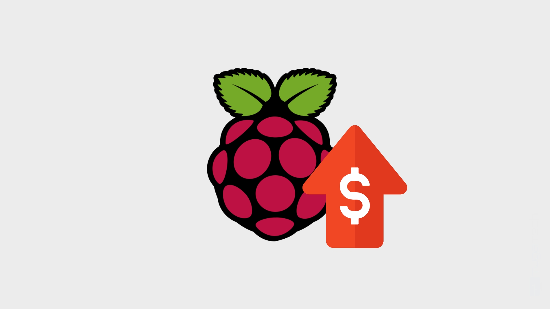 Raspberry Pi