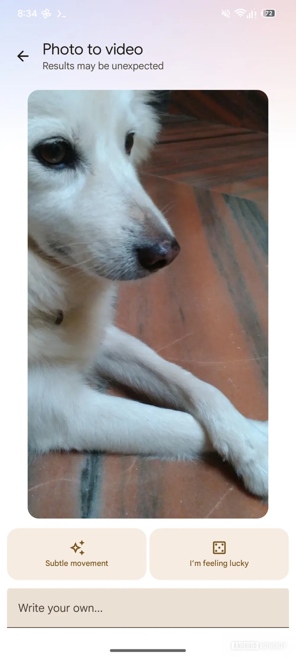 detalhes de nova funcionalidade do google fotos